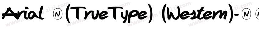 Arial 中(TrueType) (Western)字体转换